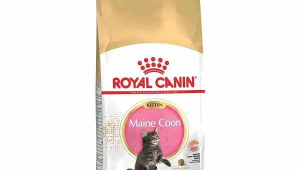 Корма ROYAL CANIN для кошенят