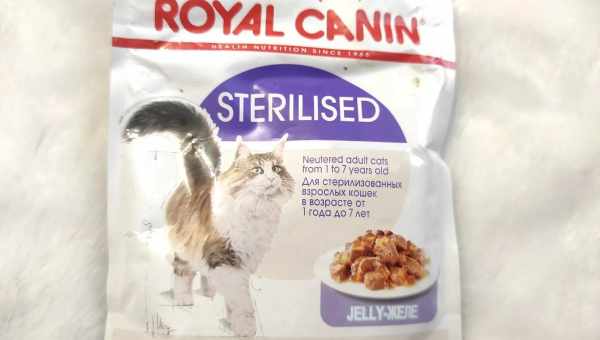 ROYAL CANIN для кішок породи мейн-кун