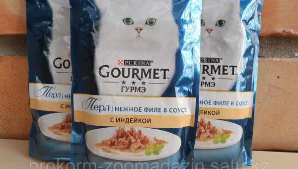 Все про корми для кішок Gourmet