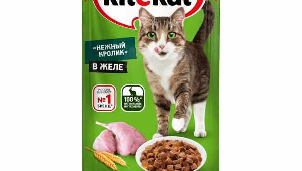 Особливості вологих кормів Kitekat